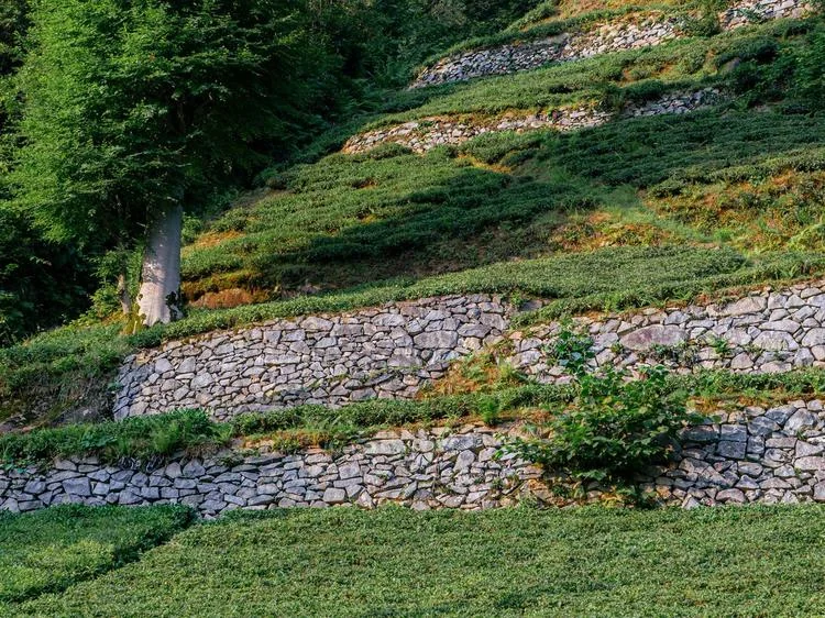 Tiered stone retaining walls turning a sloped yard into flat lawn terraces